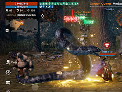 MMOexp Lineage 2M: The Hunt for the Shadowbrand
